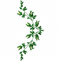 Flowers And Tree Embroidery Design 3 Flowers And Tree Embroidery Design 3